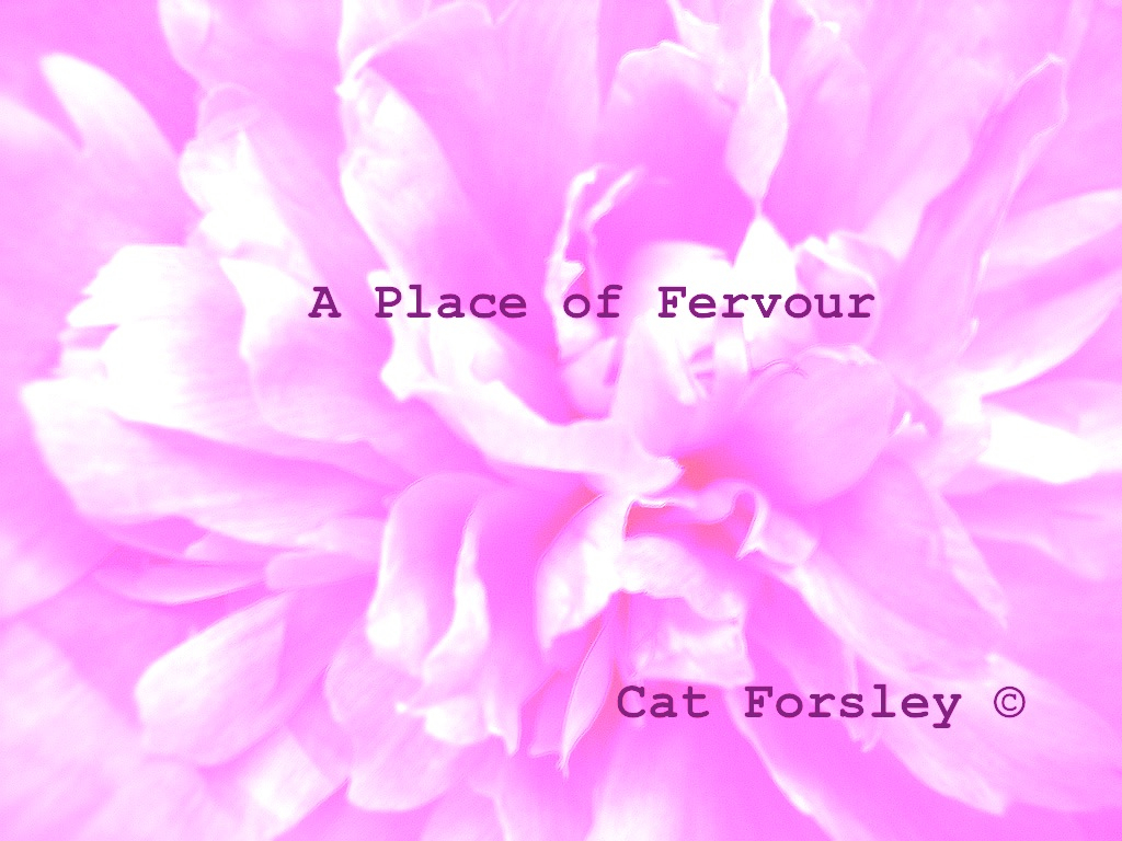 A PLACE OF FERVOUR CAT FORSLEY ©