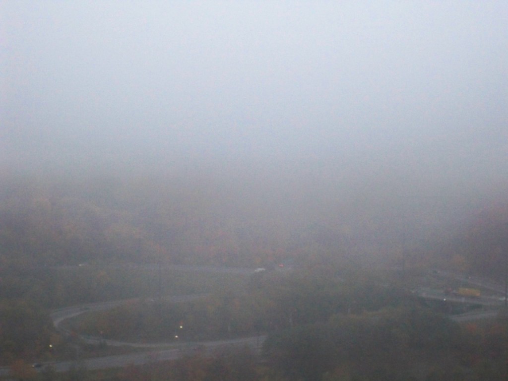 FOG 2 Cat Forsley ©