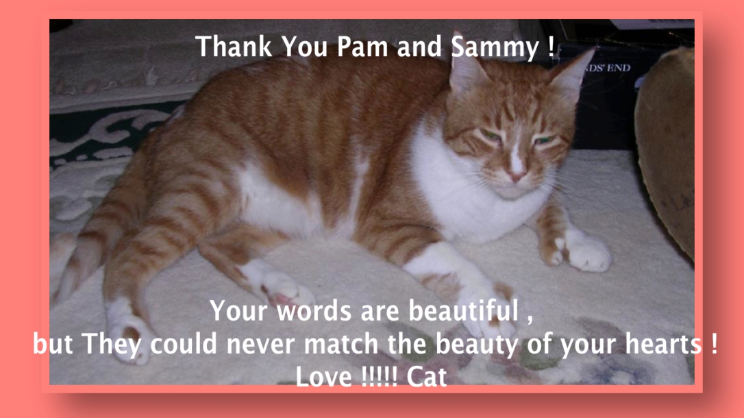 Thank You Pam and Sammy !  Click On the image to read Her Video :) 