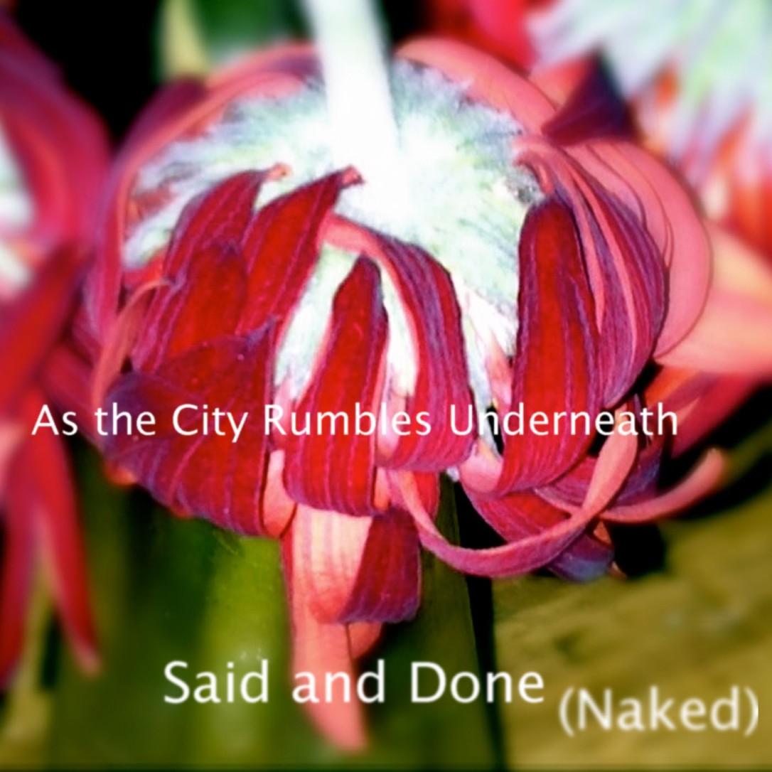 Said and Done (Naked) - As The City Rumbles Underneath  Art Ashton Price ©