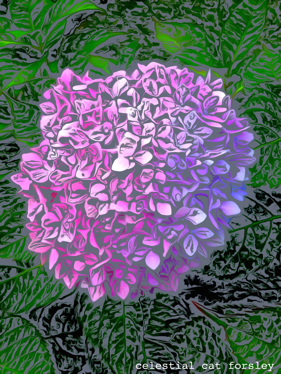 celestial cat forsley © 