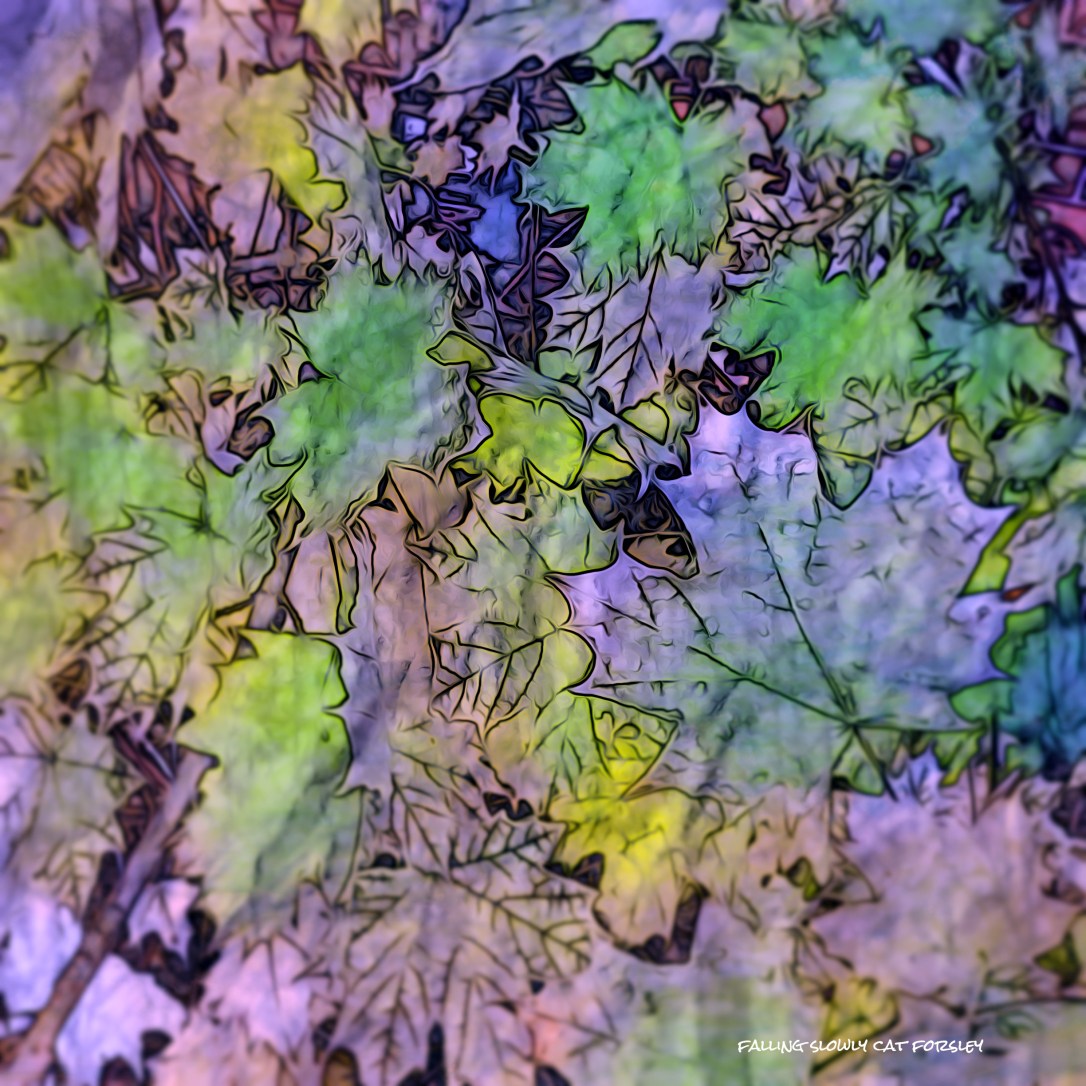 falling-slowly-cat-forsley