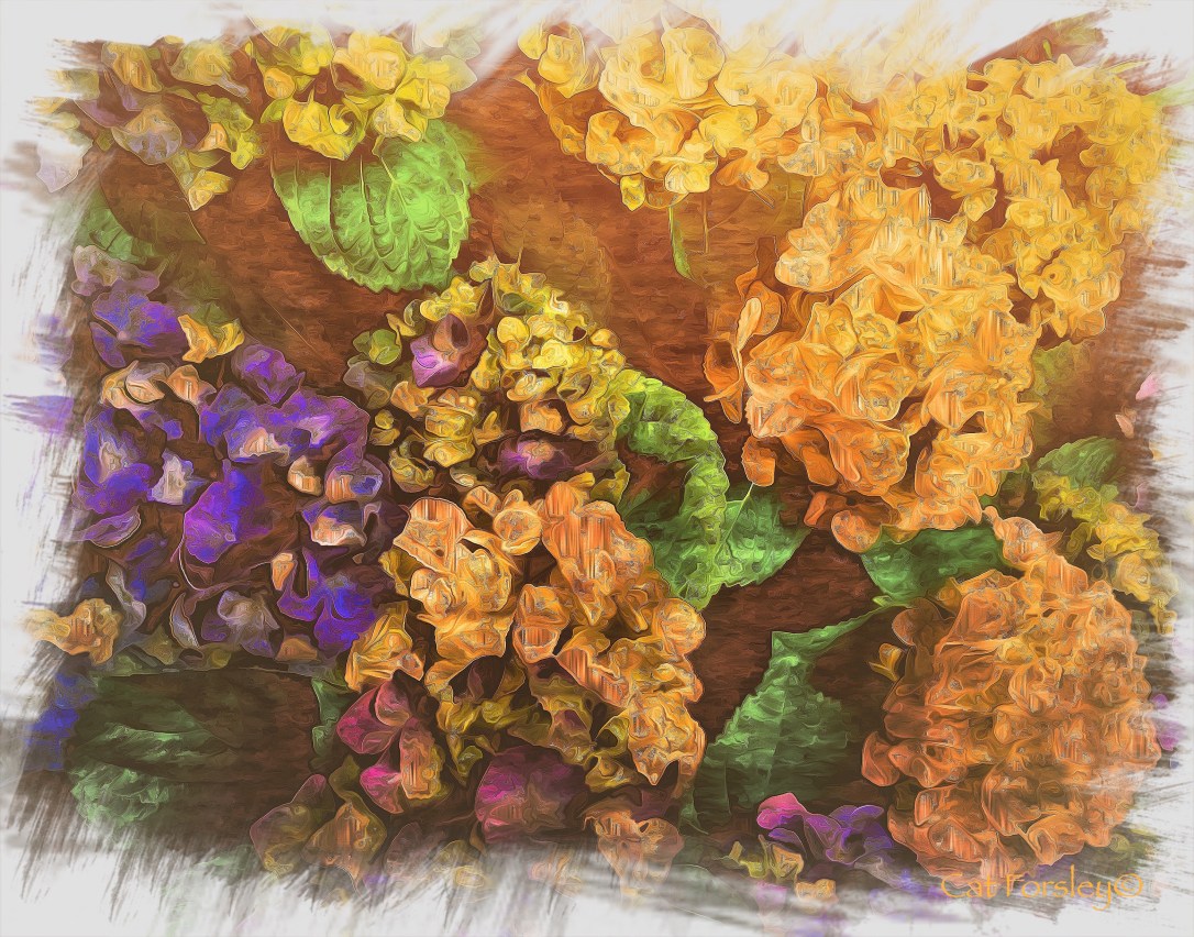 Stay Golden Cat Forsley ©