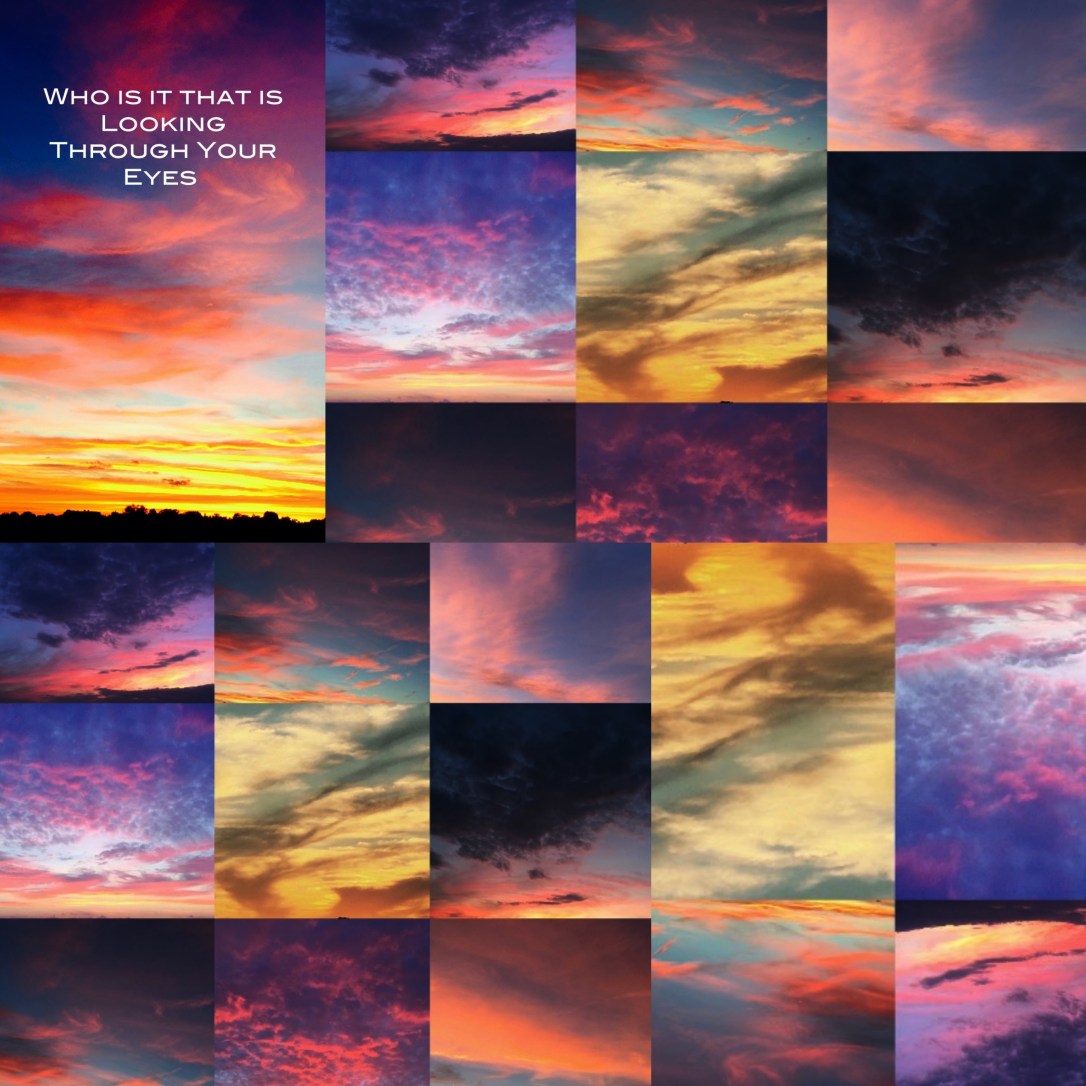 who-is-it-cat-forsley