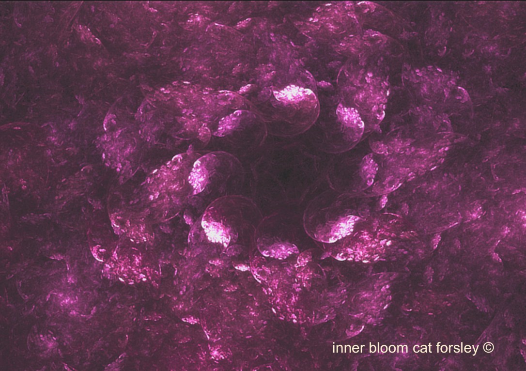inner bloom cat forsley ©