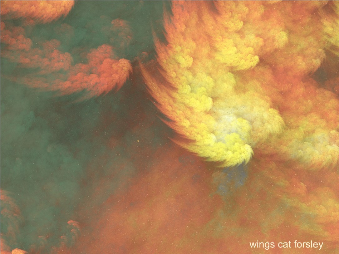 Wings Cat Forsley ©