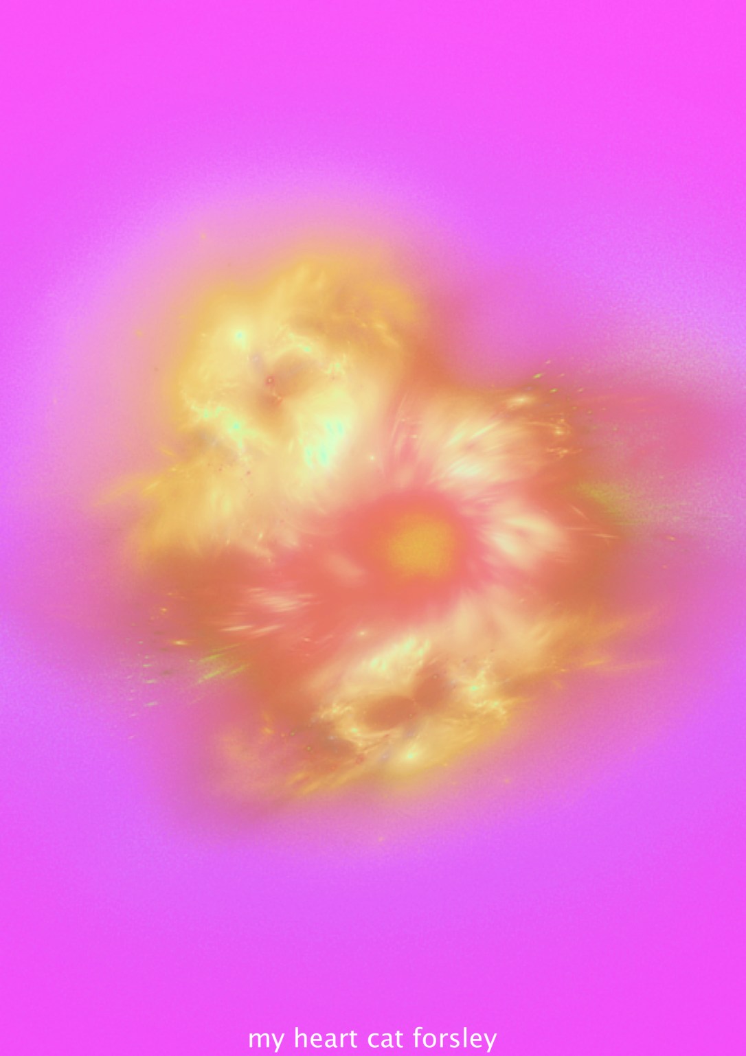 My heart cat forsley ©