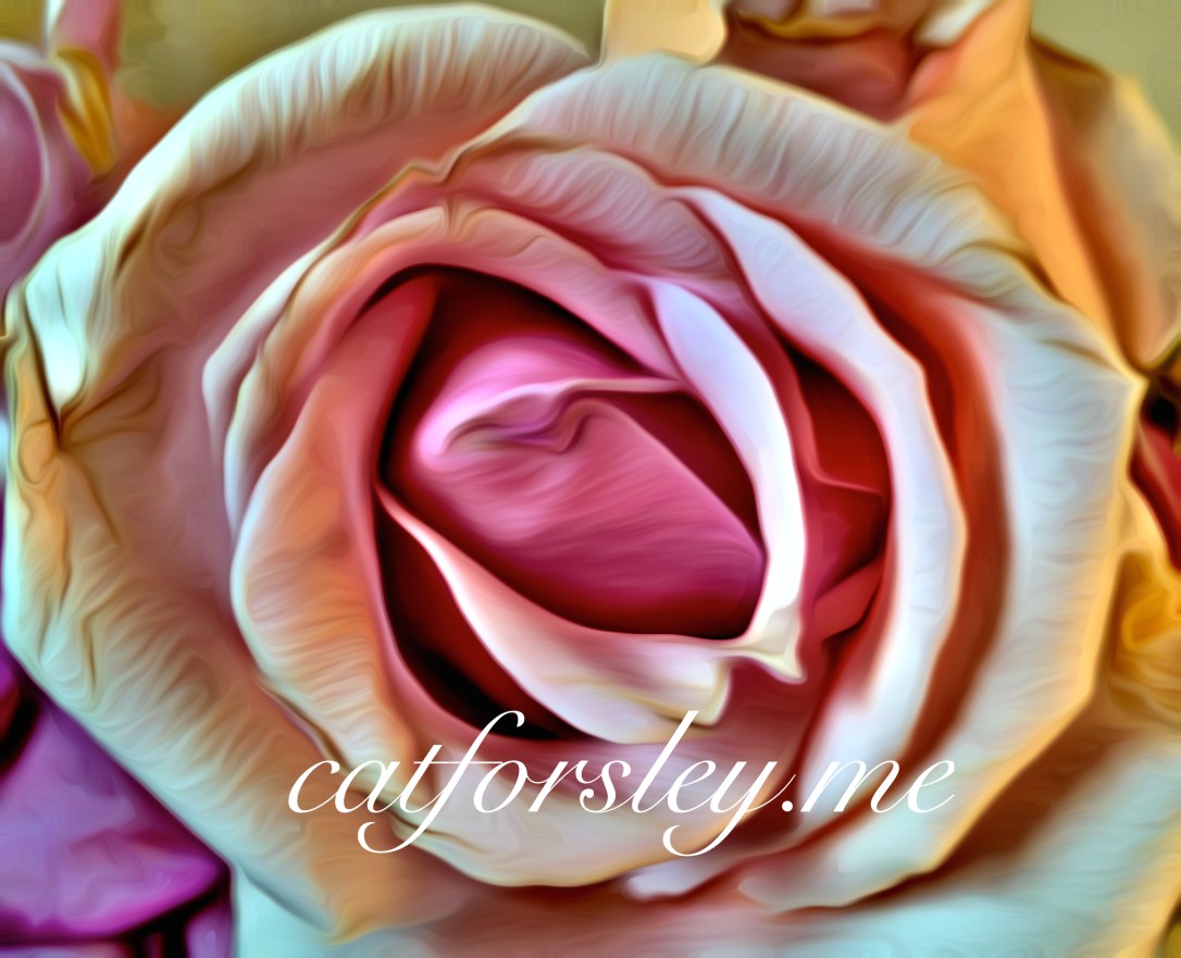 Inside the rose Cat Forsley © 