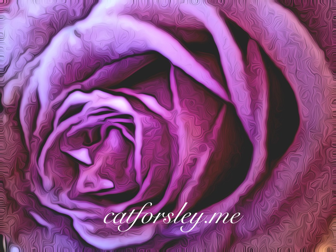 Inside the rose cat forsley © 