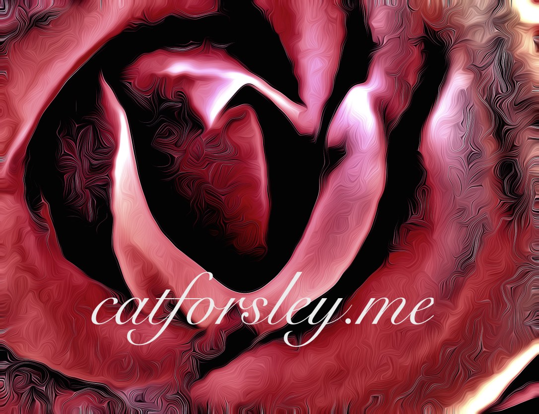 inside the rose cat forsley © 