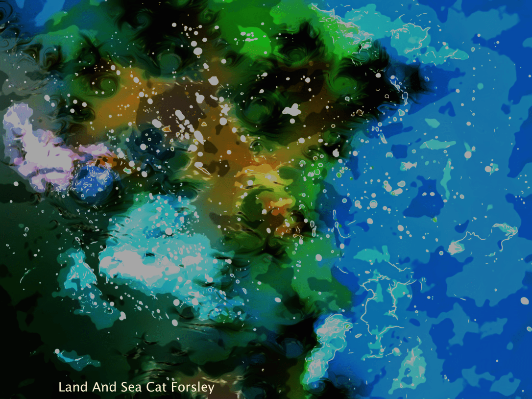 Land and Sea Cat Forsley ©