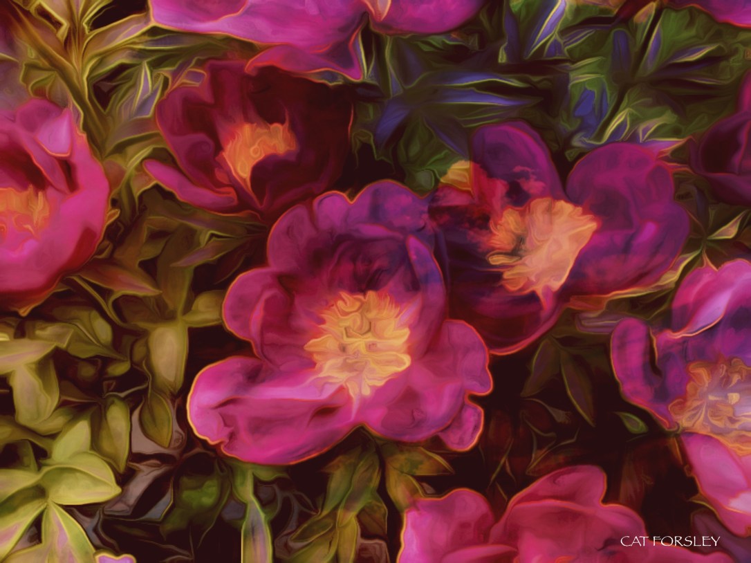 warm hearted cat forsley © 