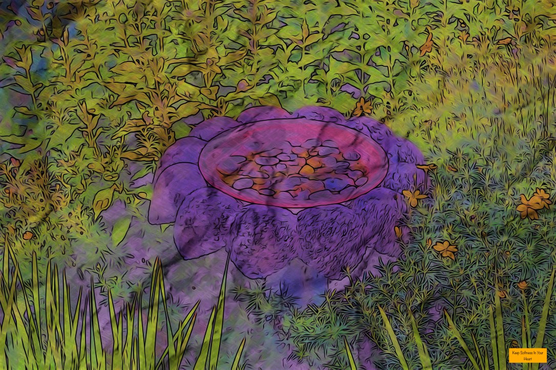 Keep Softness in Your Heart - Cat Forsley