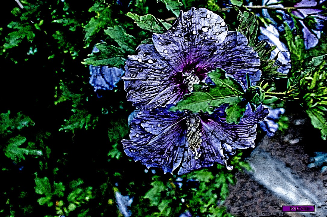 pour it out cat forsley ©